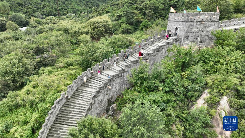 免费下载斗牛牛